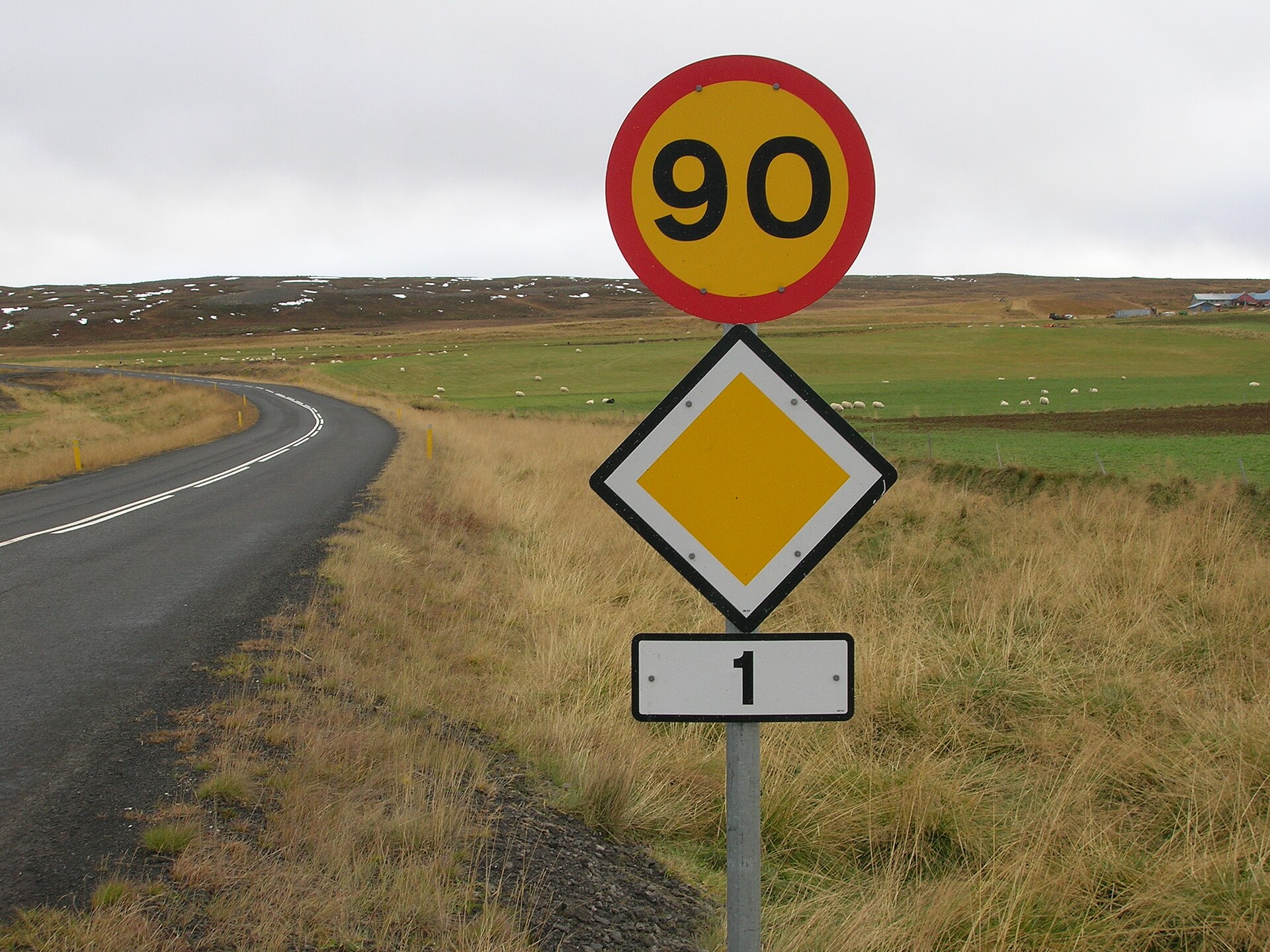 冰島一號公路 90 公里限速與 Route 1 標誌實景;
